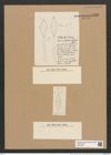 Rhaphoneis lusitanica Rabh. (de-Toni-Nr.: Genus 78, Species 2824) Zeichnungen Sammlung Grunow Nr. 5786 (NHMW-BOT-W0374187)